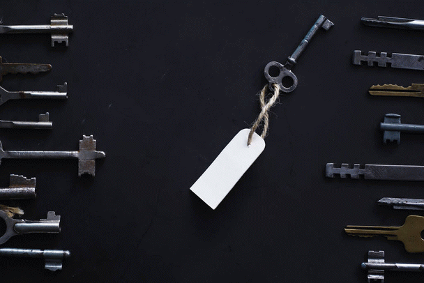 آیا مالاموت آلاسکایی سگ مناسبی برای شما است؟ 18 نکته کلیدی