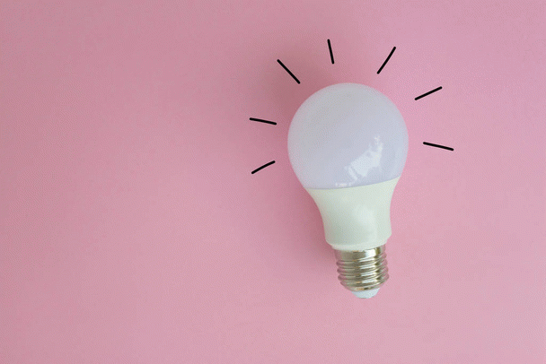 20 نکته طلایی برای سخنگو کردن طوطی برزیلی